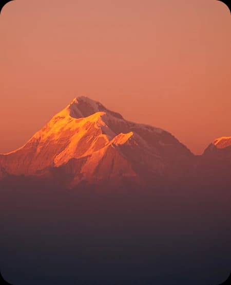 Snow capped Himalayan mountain peak glowing orange at sunrise or sunset with pink sky